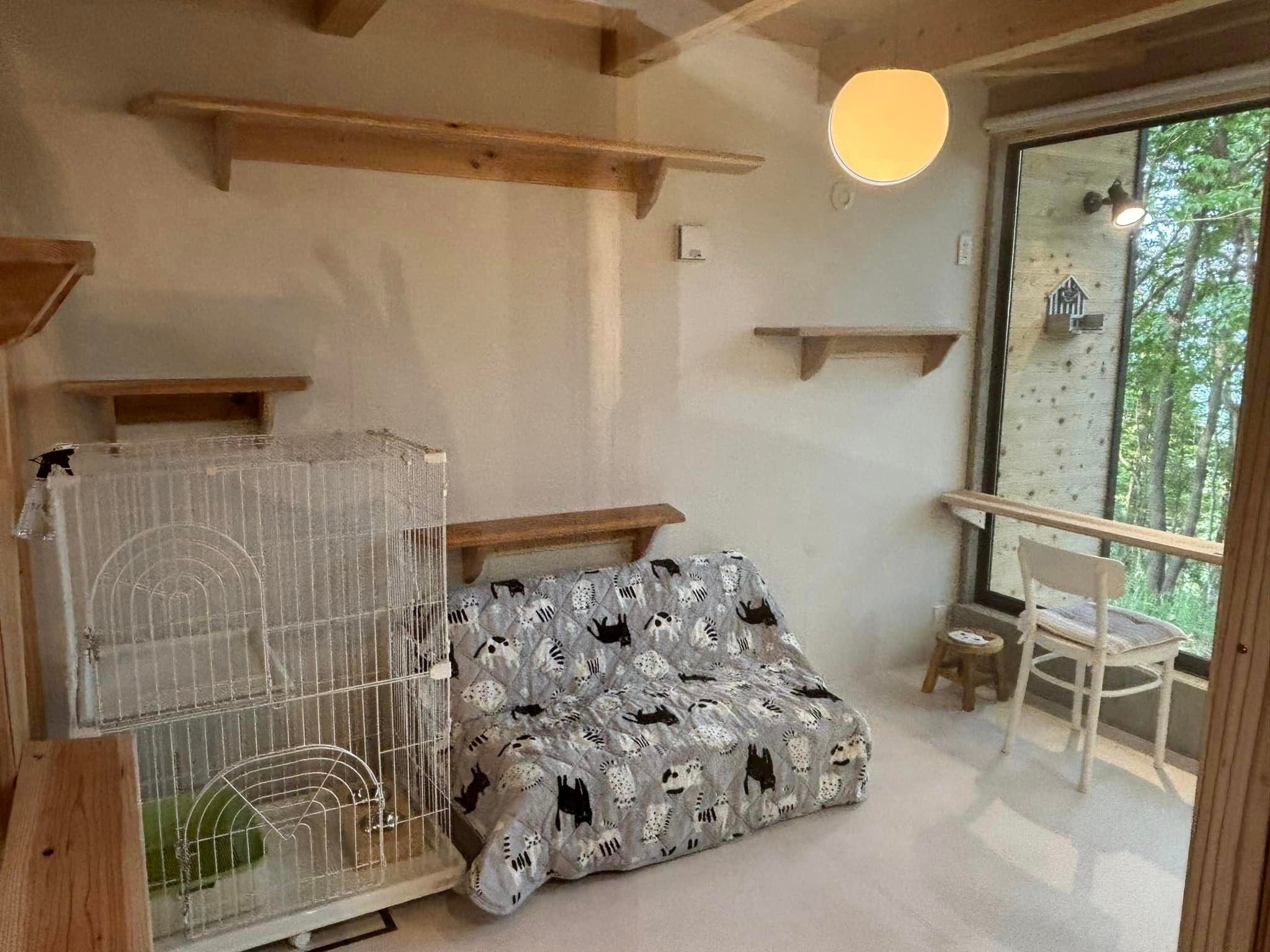 猫ちゃんのいる部屋は全面ガラスで仕切られています