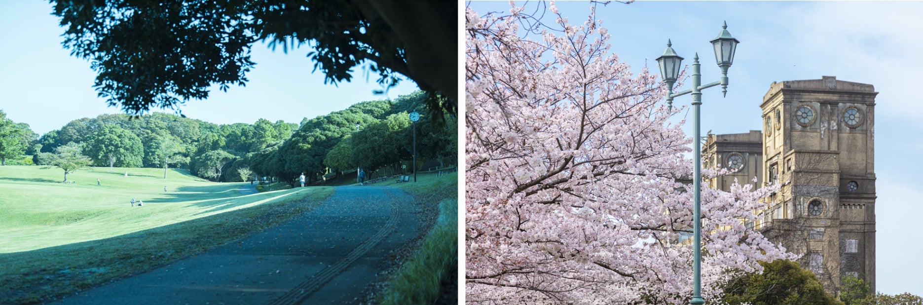 根岸森林公園（徒歩3分／約210m）