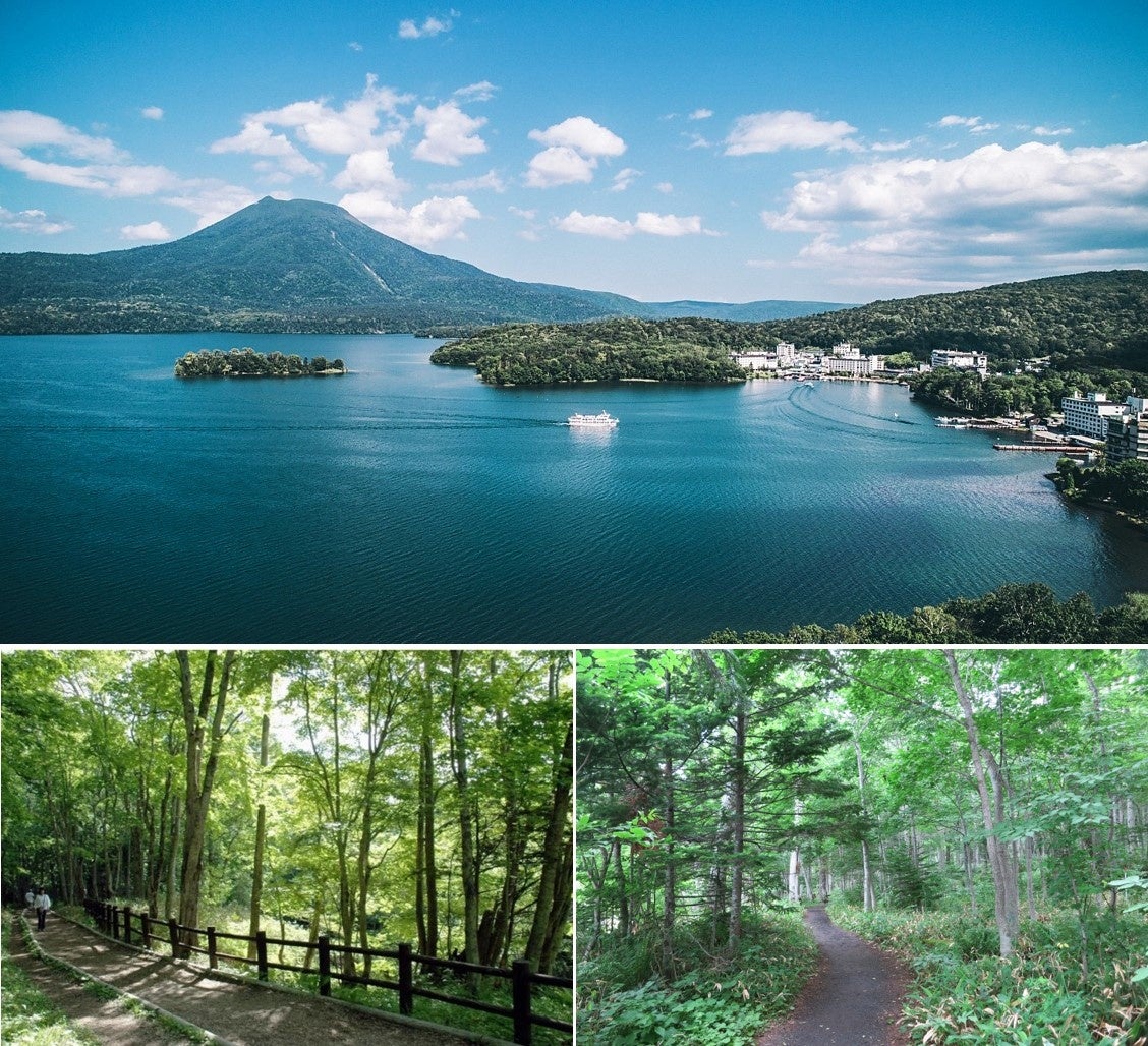 上：阿寒湖の全景(写真中央に広がるのがボッケの森) 下：日中のボッケ遊歩道と森の様子