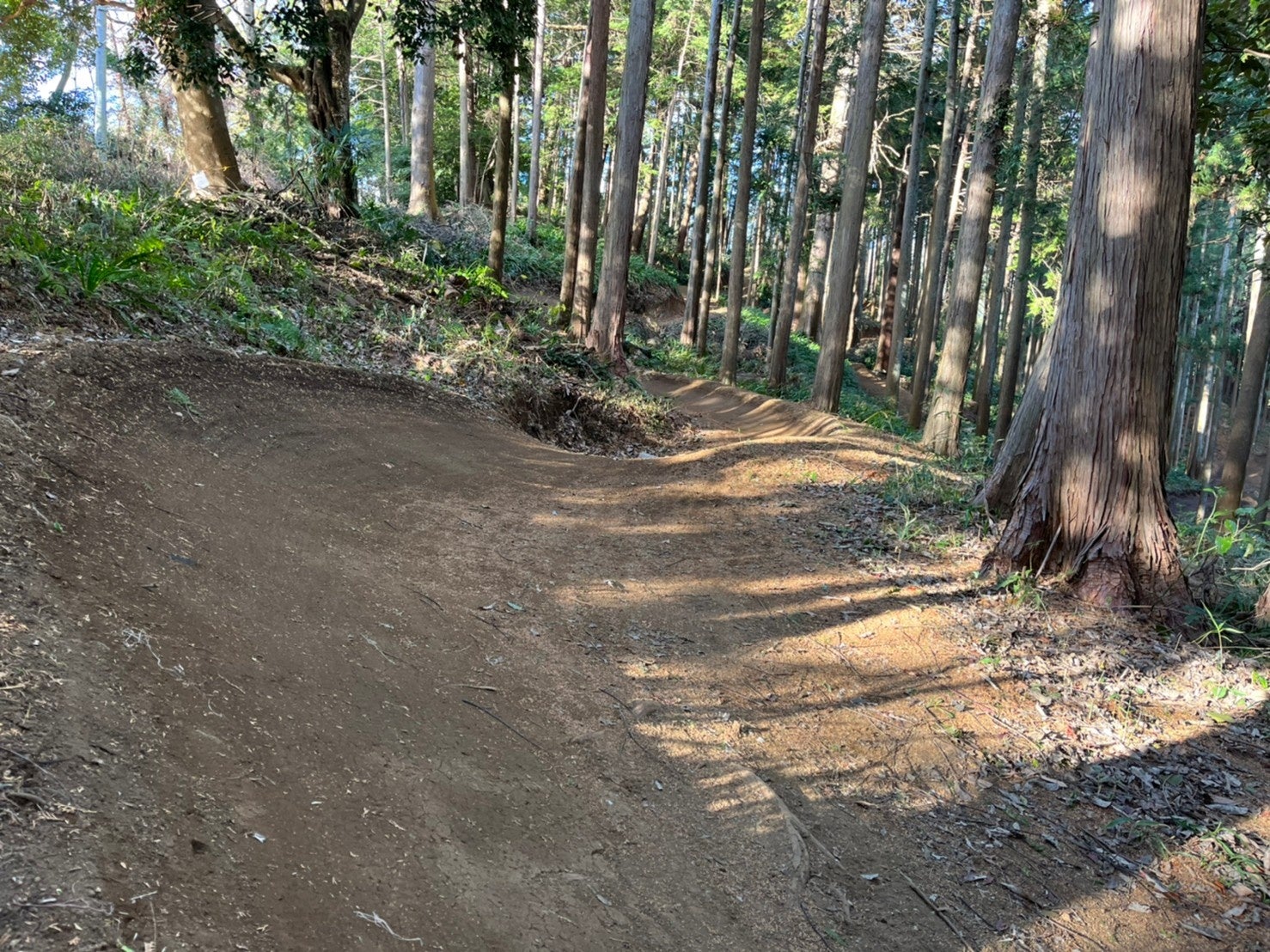 緩やかなフロートレイル