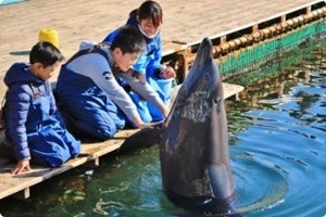 熊本県上天草市