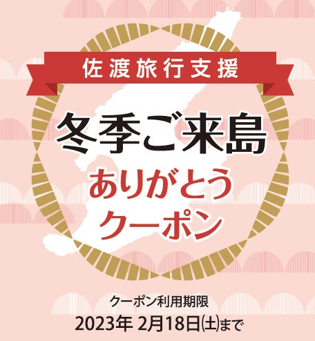 佐渡旅行クーポン券 1,000円分×30枚 【有効期限:2025年1月12日 佐渡旅行クーポン券 1,000円分×30枚 【有効期限:2025年1月12日