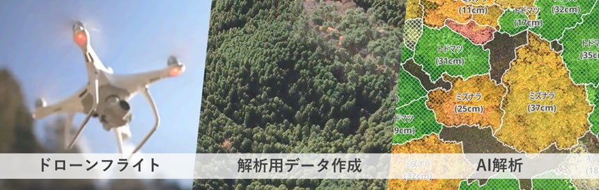 ドローンとAI解析ソフトウェアによる「森林調査DXサービス」を提供開始 | 株式会社日立システムズのプレスリリース