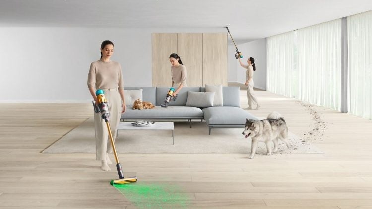犬と暮らす1,779人に聞いた室内環境 「フケが空気中に長時間漂う」を知る人は約3割にとどまる ダイソンが「犬の日」を前に調査結果を発表