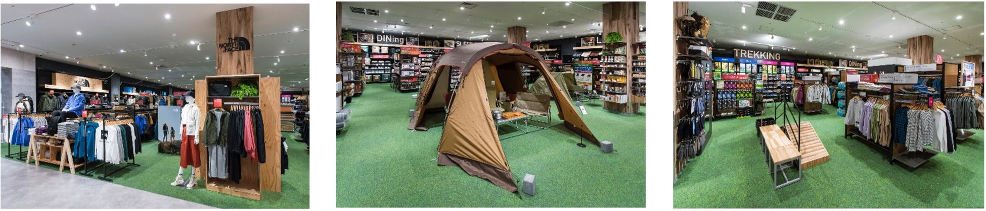 (画像はイメージです)