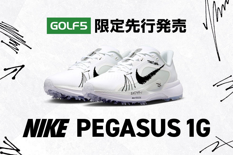 PEGASUS 1Gの製品写真(prtimes.jpより)