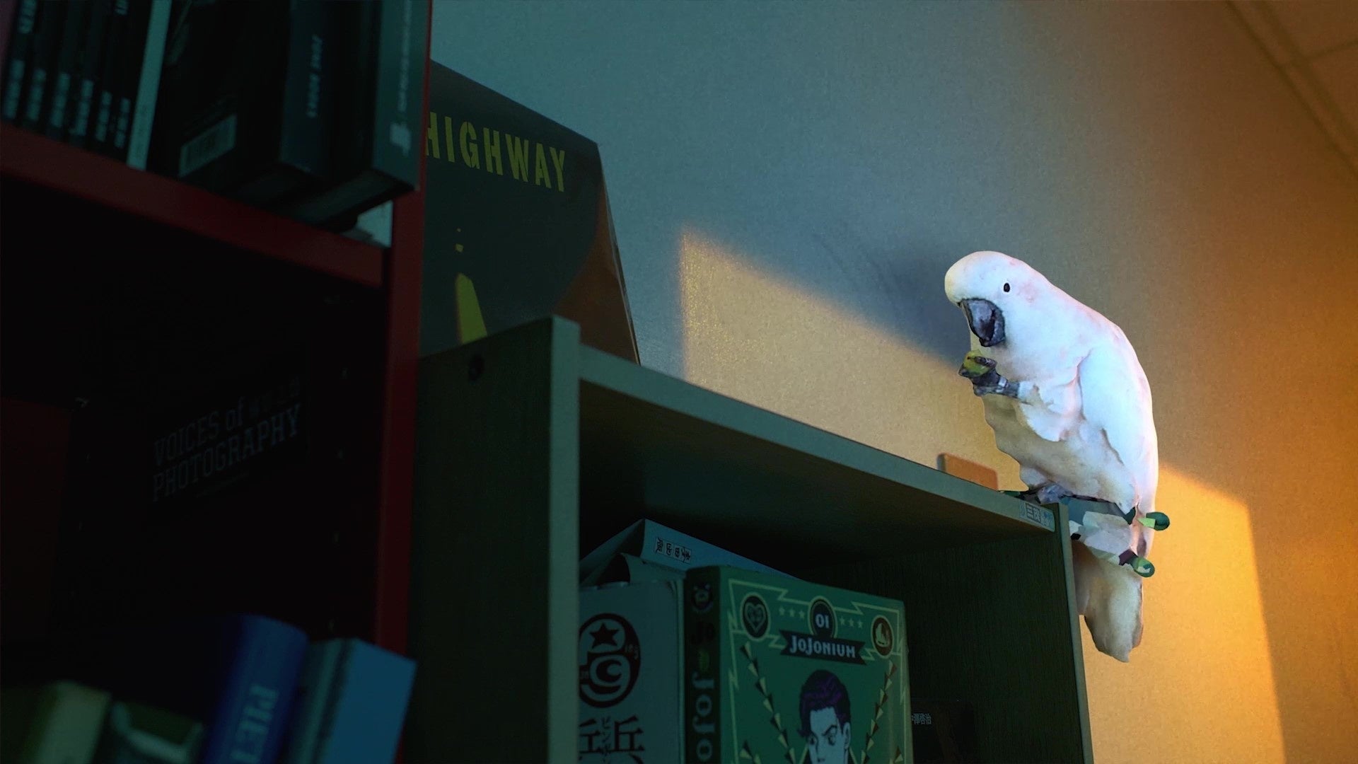 『真鴨の異常な死』（2020年）