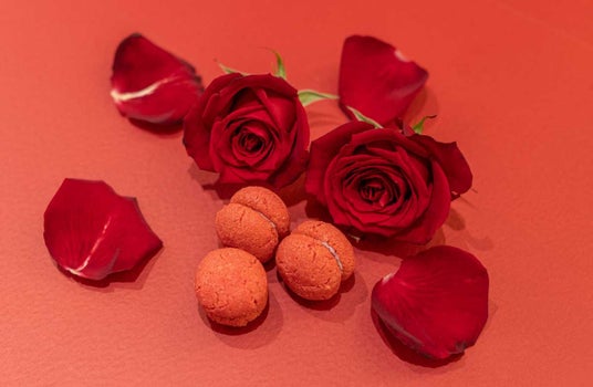 【母の日限定】創業1763年イタリア・トリノ最古のカフェ「Bicerin」より、薔薇香る「バーチ・ディ・ダーマ」を発売 【母の日限定】創業1763年イタリア・トリノ最古のカフェ「Bicerin」より、薔薇香る「バーチ・ディ・ダーマ」を発売