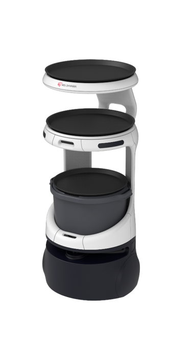 © IRIS OHYAMA  SoftBank Robotics