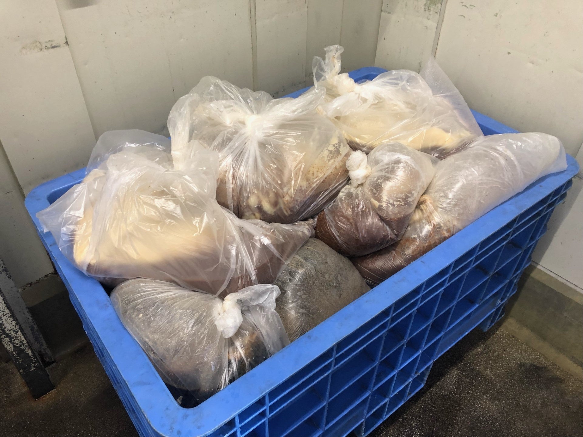 写真1：回収された食品残さ