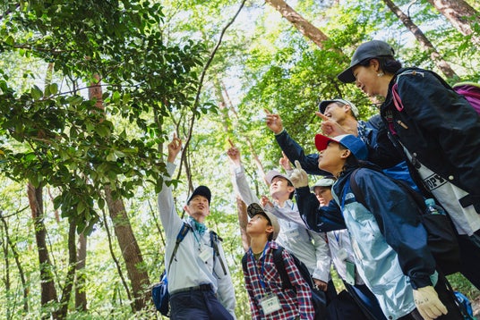 森と水をテーマにした自然体験プログラム サントリー水育(みずいく)「森と水の学校」募集開始 森と水をテーマにした自然体験プログラム サントリー水育(みずいく)「森と水の学校」募集開始