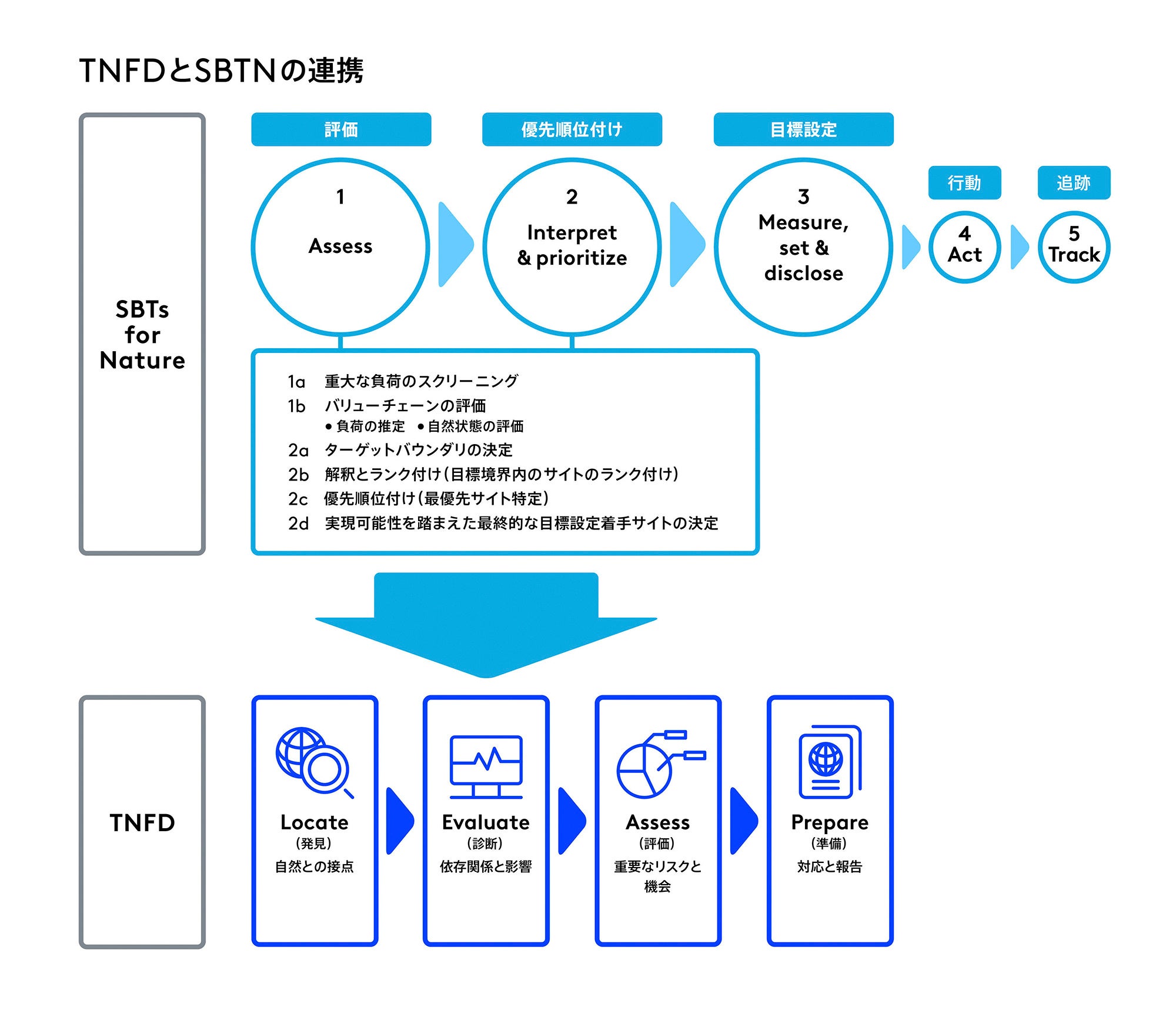 図：ＴＮＦＤとＳＢＴＮの連携