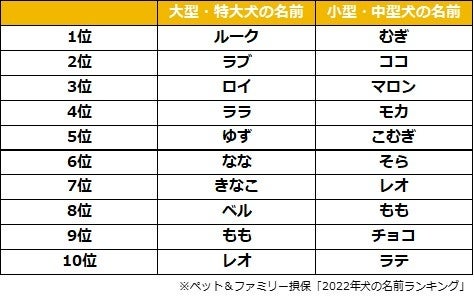 ペットニュースストレージ 22年 犬の名前ランキング を発表 21年にペット保険に新規加入した0歳の犬の名前 を大調査 ペット ファミリー損保のプレスリリース ペットニュースストレージ 22年 犬の名前ランキング を発表 21年にペット保険に新規加入した0歳の犬の名前 を大調査 ペット ファミリー損保のプレスリリース