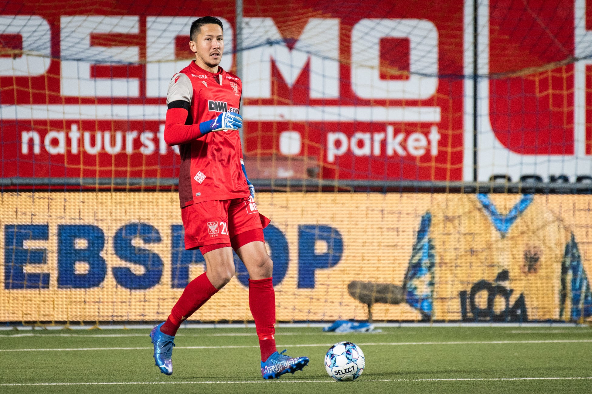 ©︎STVV