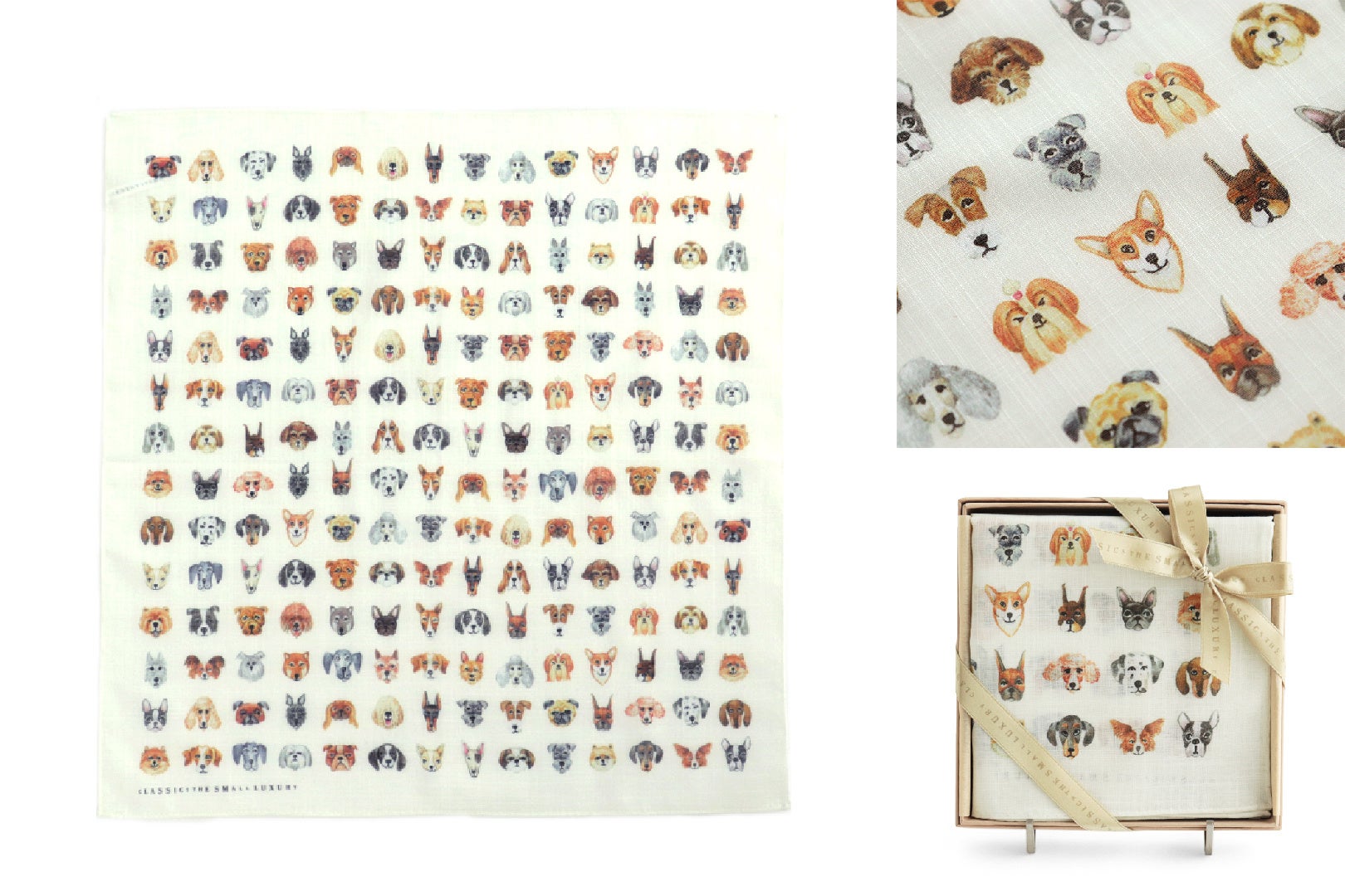 CLASSICS the Small Luxury】11月1日は犬の日 表情豊かな犬を