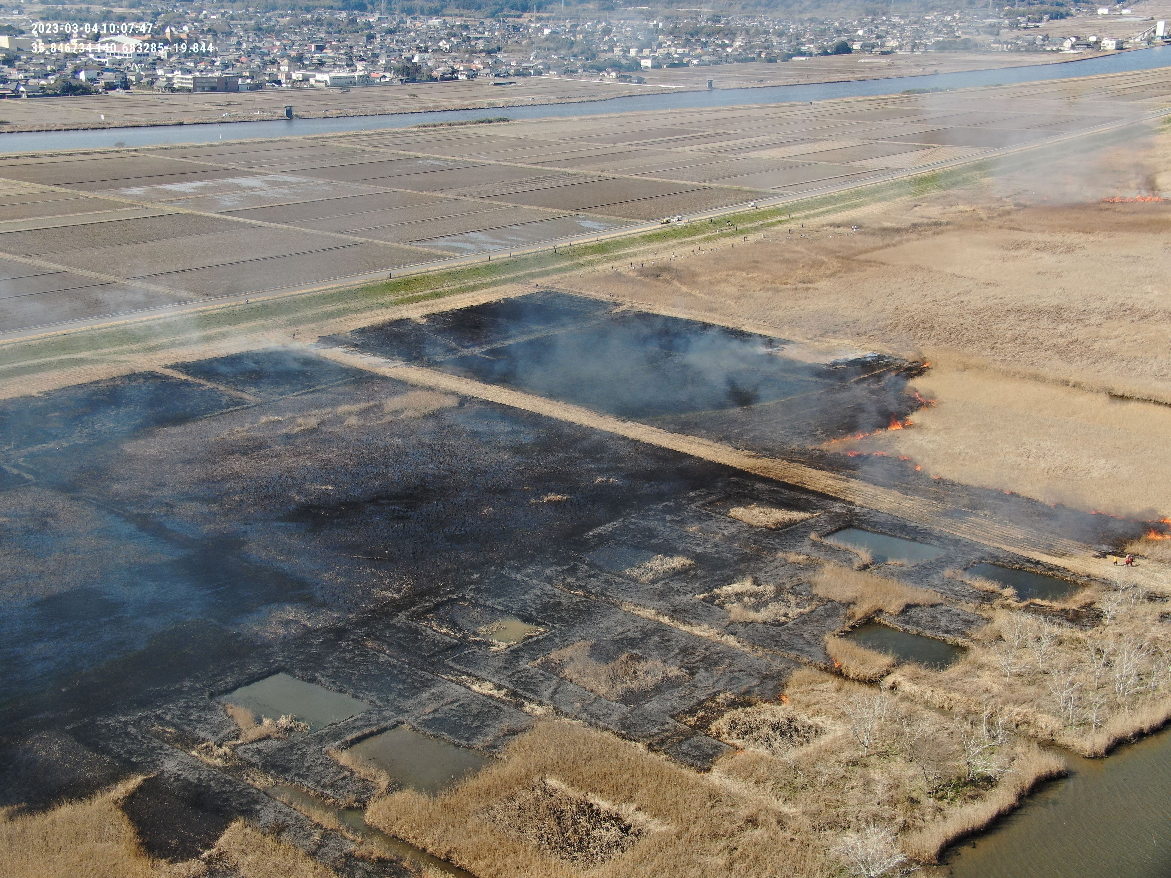 ヨシ焼きの様子