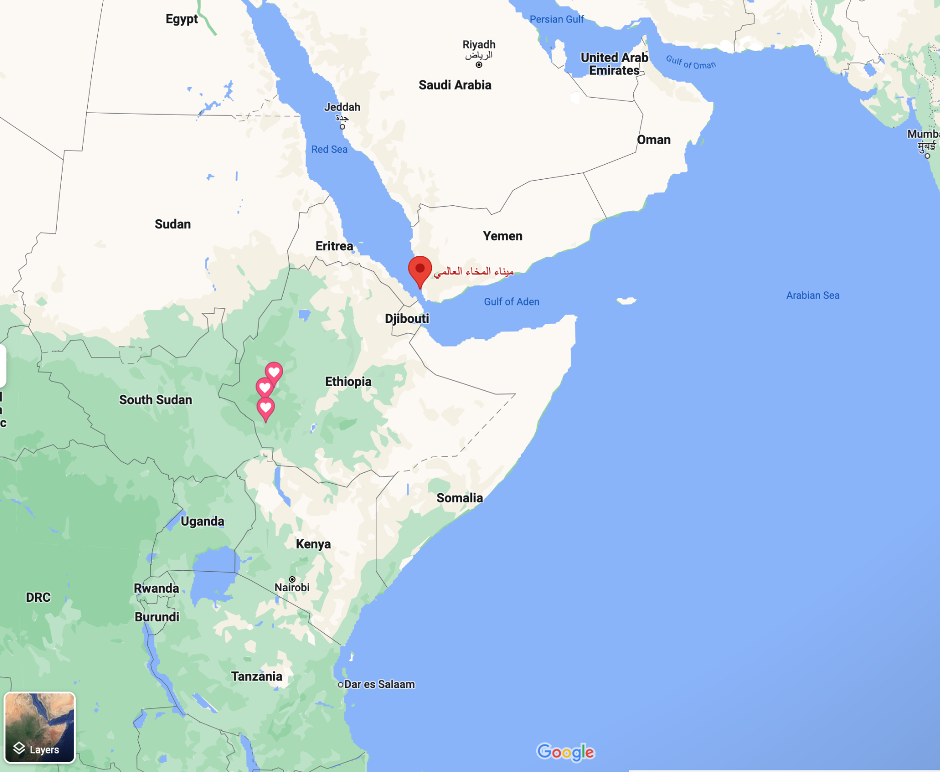 エチオピアのアムハラ語でゲイシャと思われる地名は３つあり、その昔エチオピア産のコーヒーはアラビア半島のモカ港に運ばれ「モカ」という名前で世界を国際商品のコーヒーとして駆け巡った。