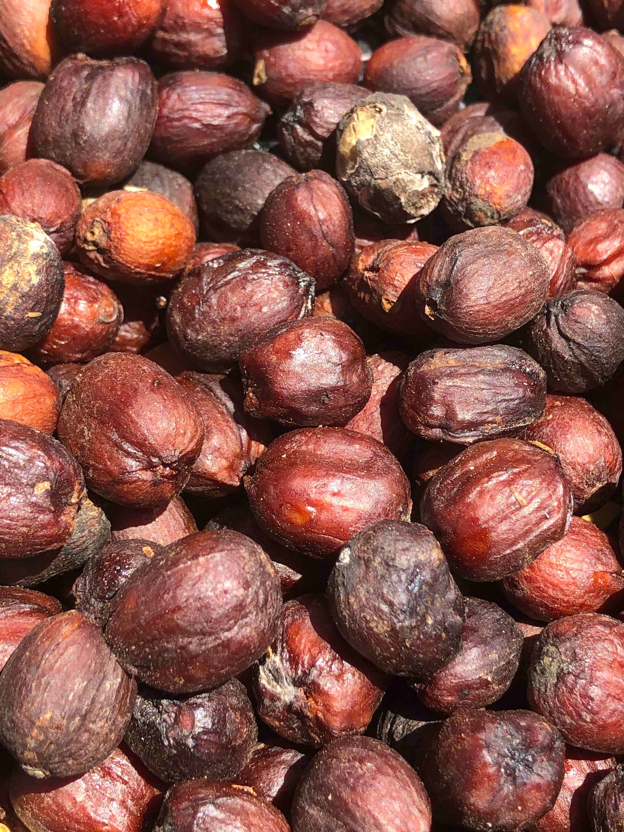 コーヒーチェリー（果実）