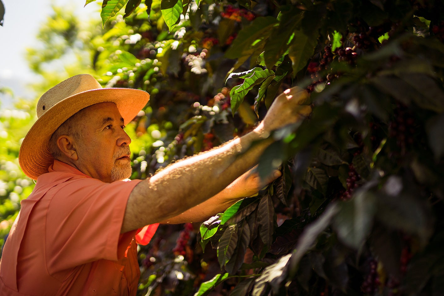 農園主のウィリアム・ペレス氏