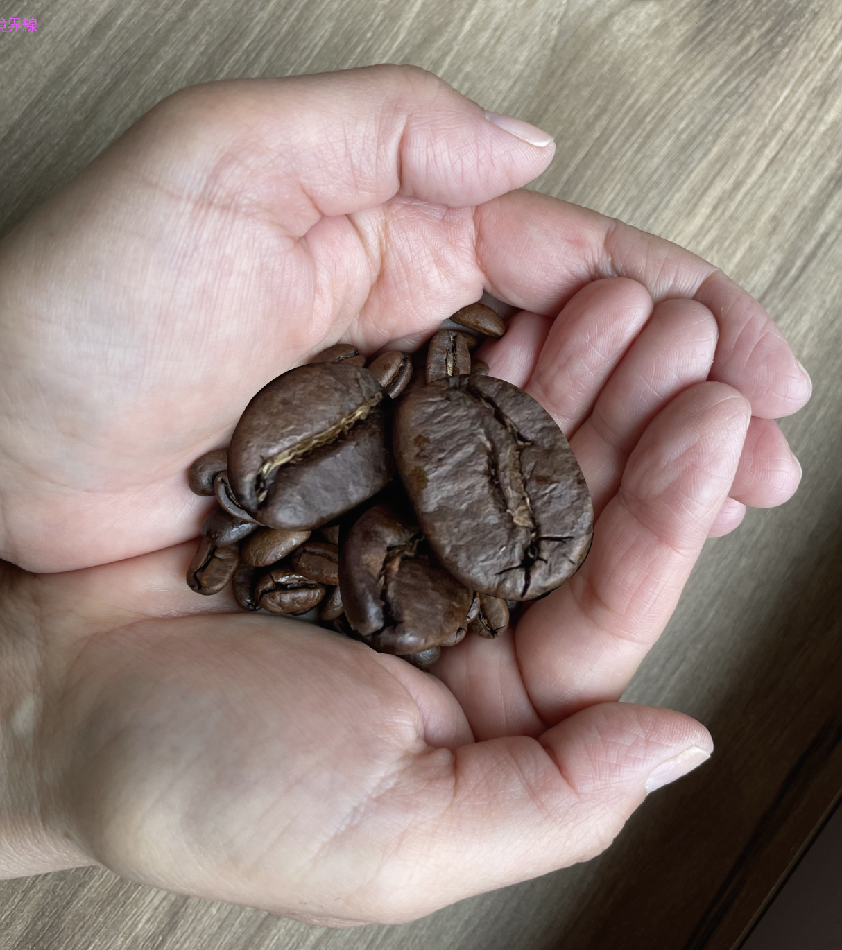 偶然出来上がった巨大コーヒー豆、筑波大学内の店浦でポップコーンと間違って出来上がってしまった。