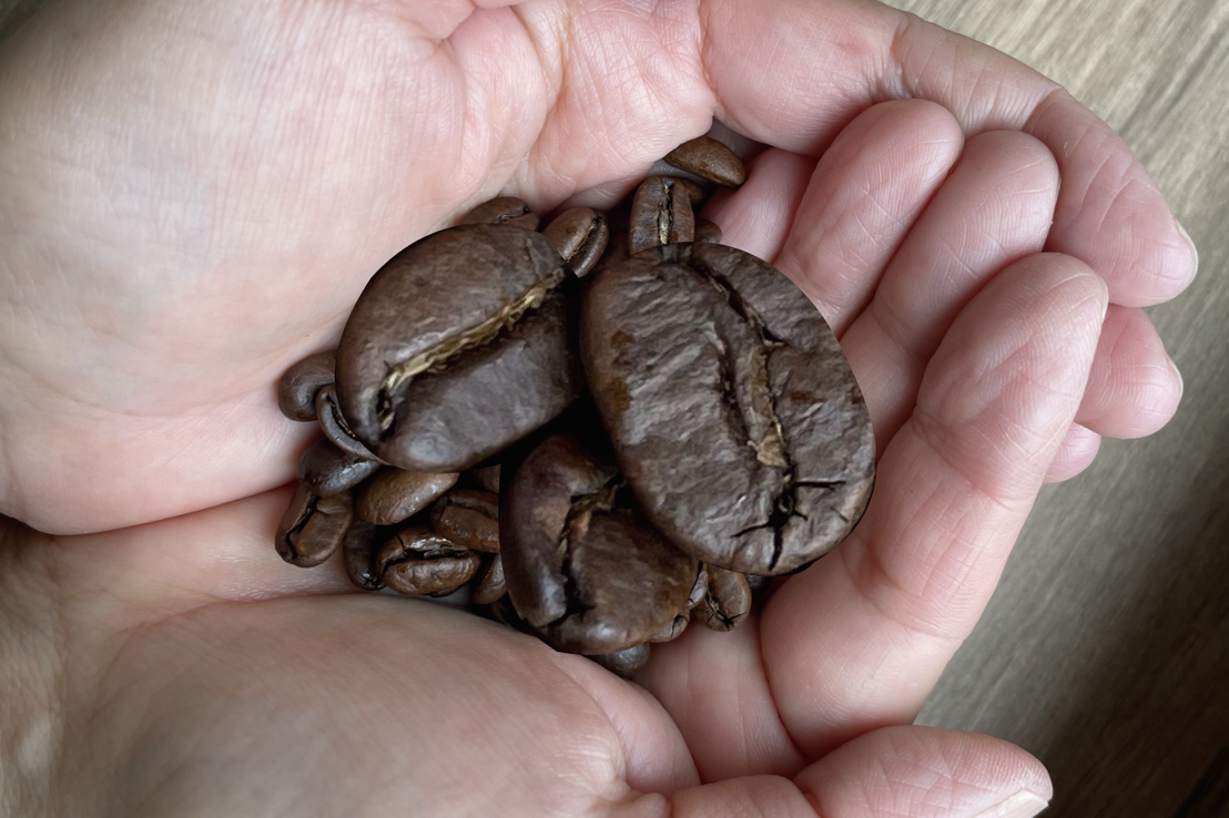 偶然出来上がった巨大コーヒー豆、筑波大学内の店浦でポップコーンと間違って出来上がってしまった。