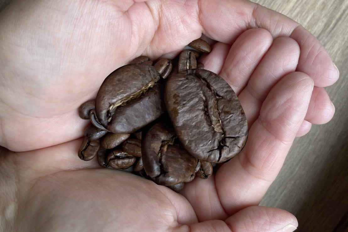 300倍のモカコーヒー豆 爆誕 株式会社 サザコーヒーのプレスリリース 300倍のモカコーヒー豆 爆誕 株式会社 サザコーヒーのプレスリリース