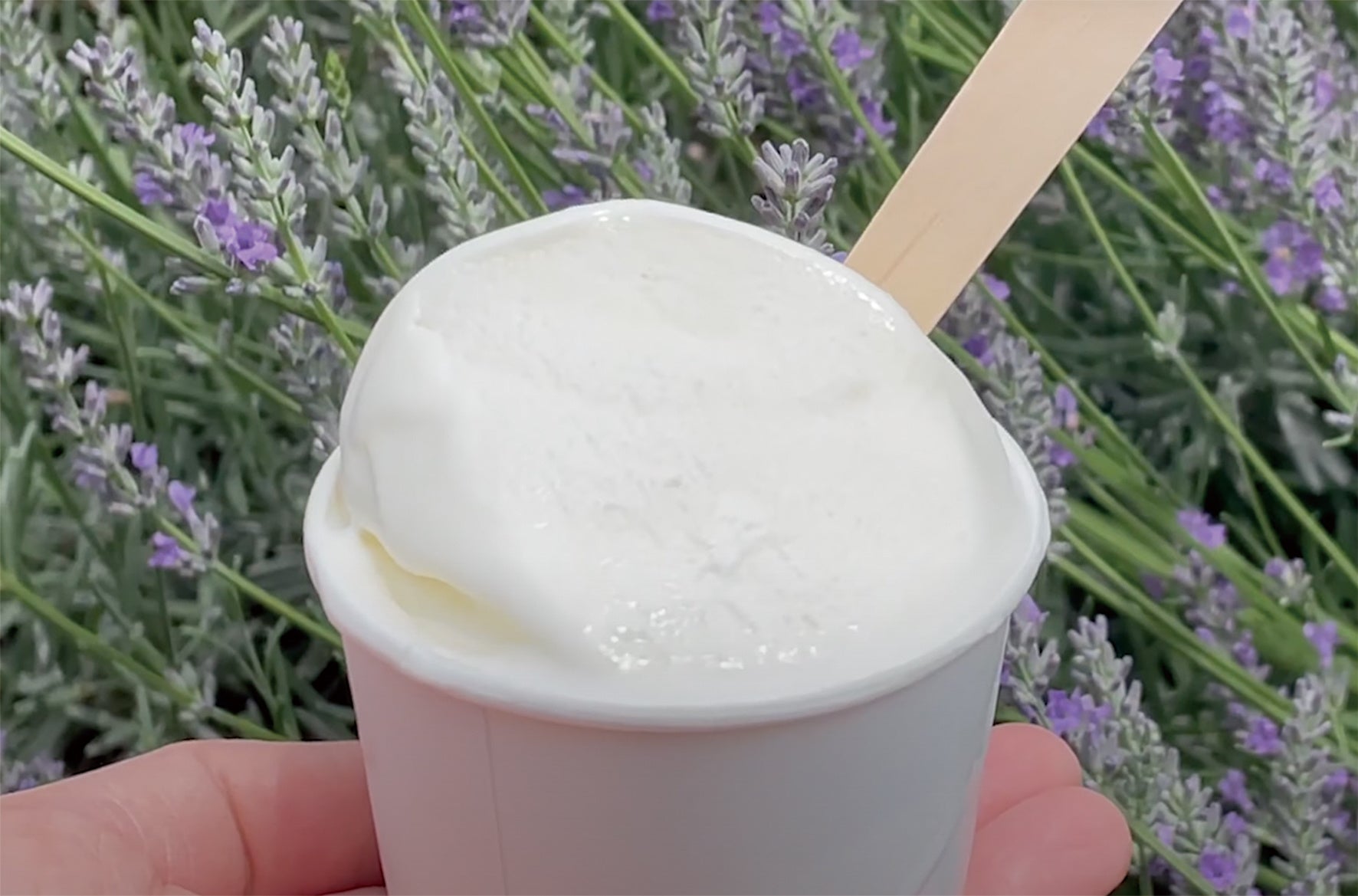 卵を入れずに作った「ミルク」は素材本来の味が楽しめる。