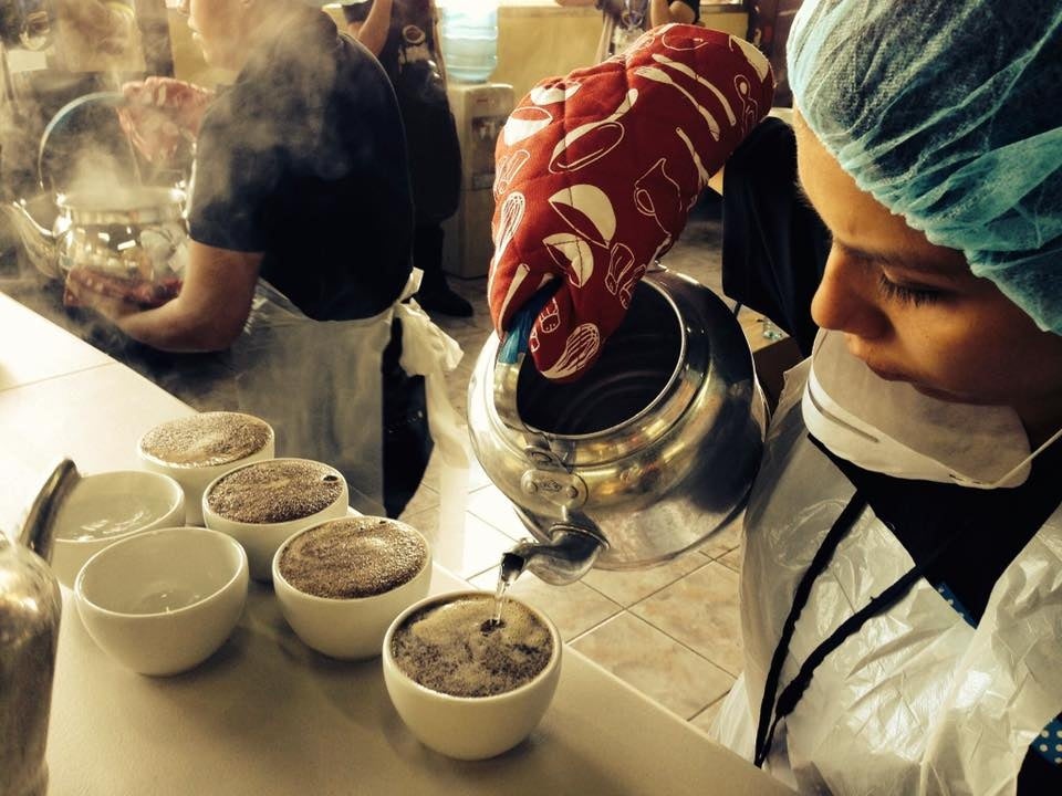 コーヒーの品評会の会場風景。審査は、コーヒーカップの中に直接 コーヒー粉を入れ、熱湯も直接注ぎ、スプーンでかき混ぜ、スプーンでうわずみを飲み比べる。