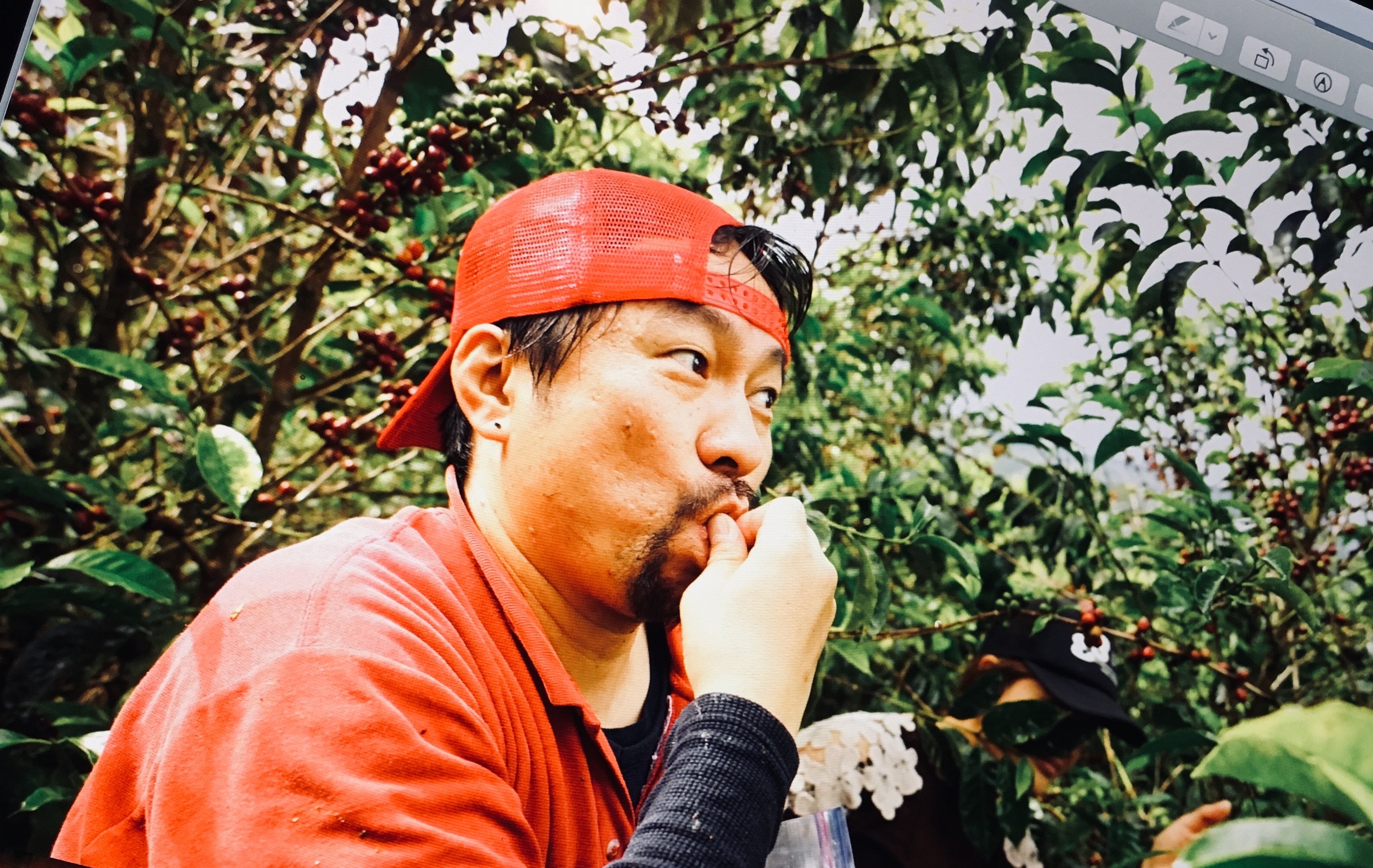 「バラの香りがして甘くておいしいよ！」と珍味を見つけて嬉しそうな森に落ちていたジャコウネコのウ●コを種るサザコーヒー鈴木太郎代表　