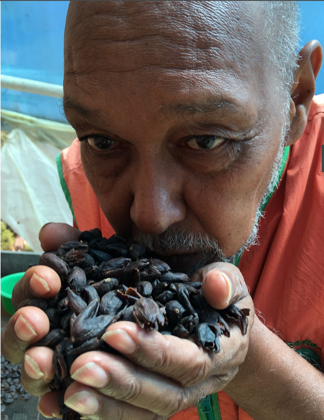 緊急発売!】コロンビアで新種のジャコウネコの「ウ○コ」コーヒーが 緊急発売!】コロンビアで新種のジャコウネコの「ウ○コ」コーヒーが