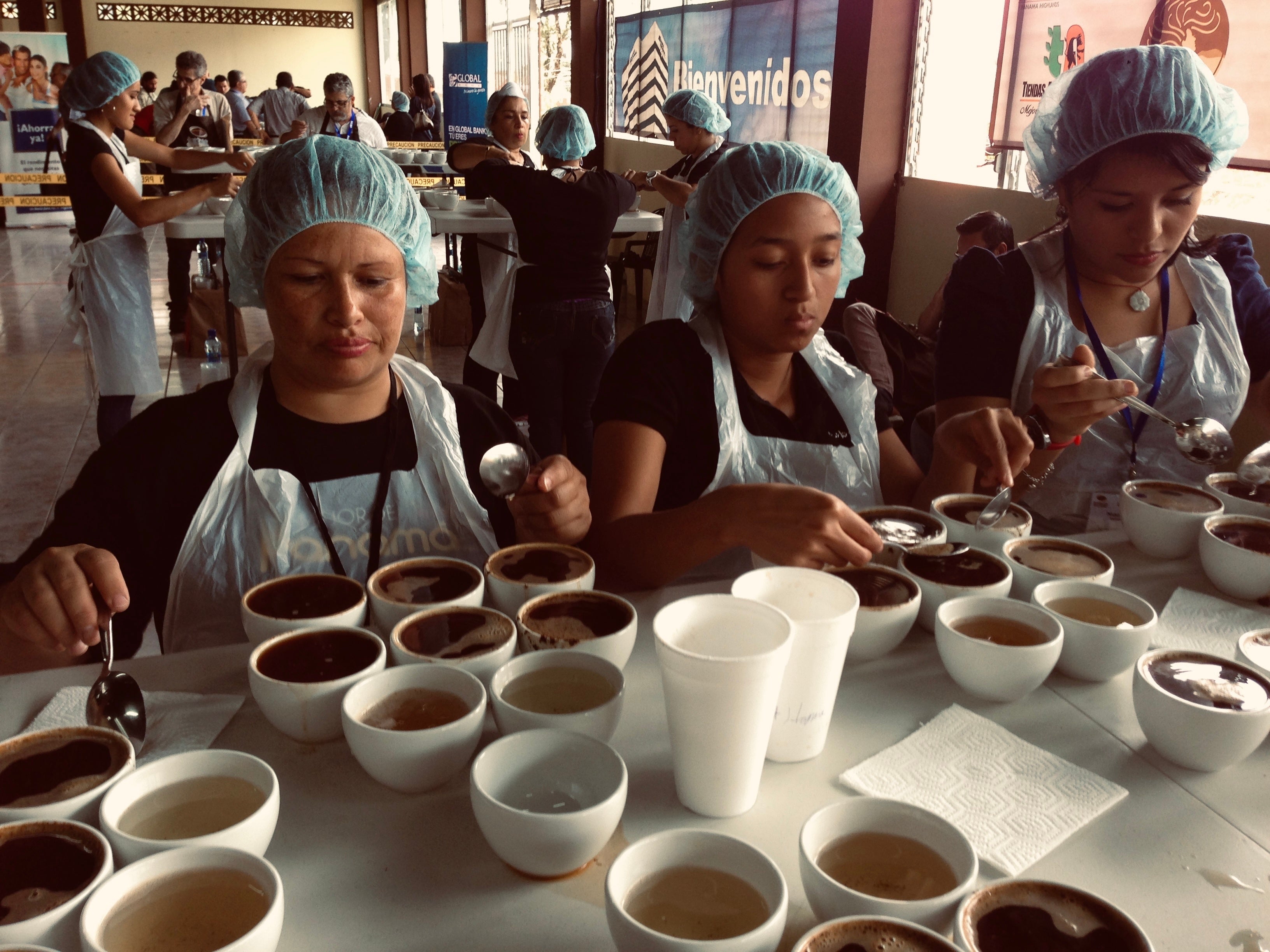 ベスト オブ パナマ：ゲイシャ発祥の コーヒー品評会　2023年は、総勢１８６種類のパナマのコーヒーから世界一のパナマゲイシャが生まれる品評会。品評会後に開かれるコーヒーオークションで毎年世界一のコーヒーが決まる。