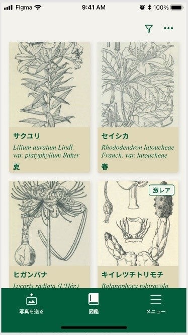 プレビューパターン