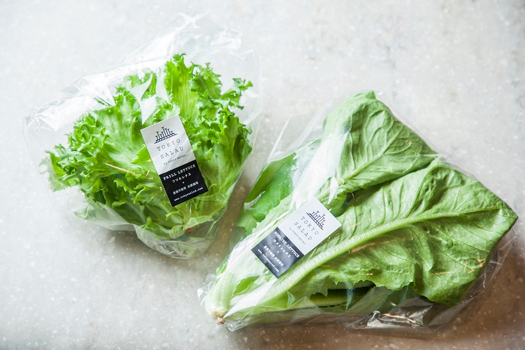 テイクアウト 東京産野菜