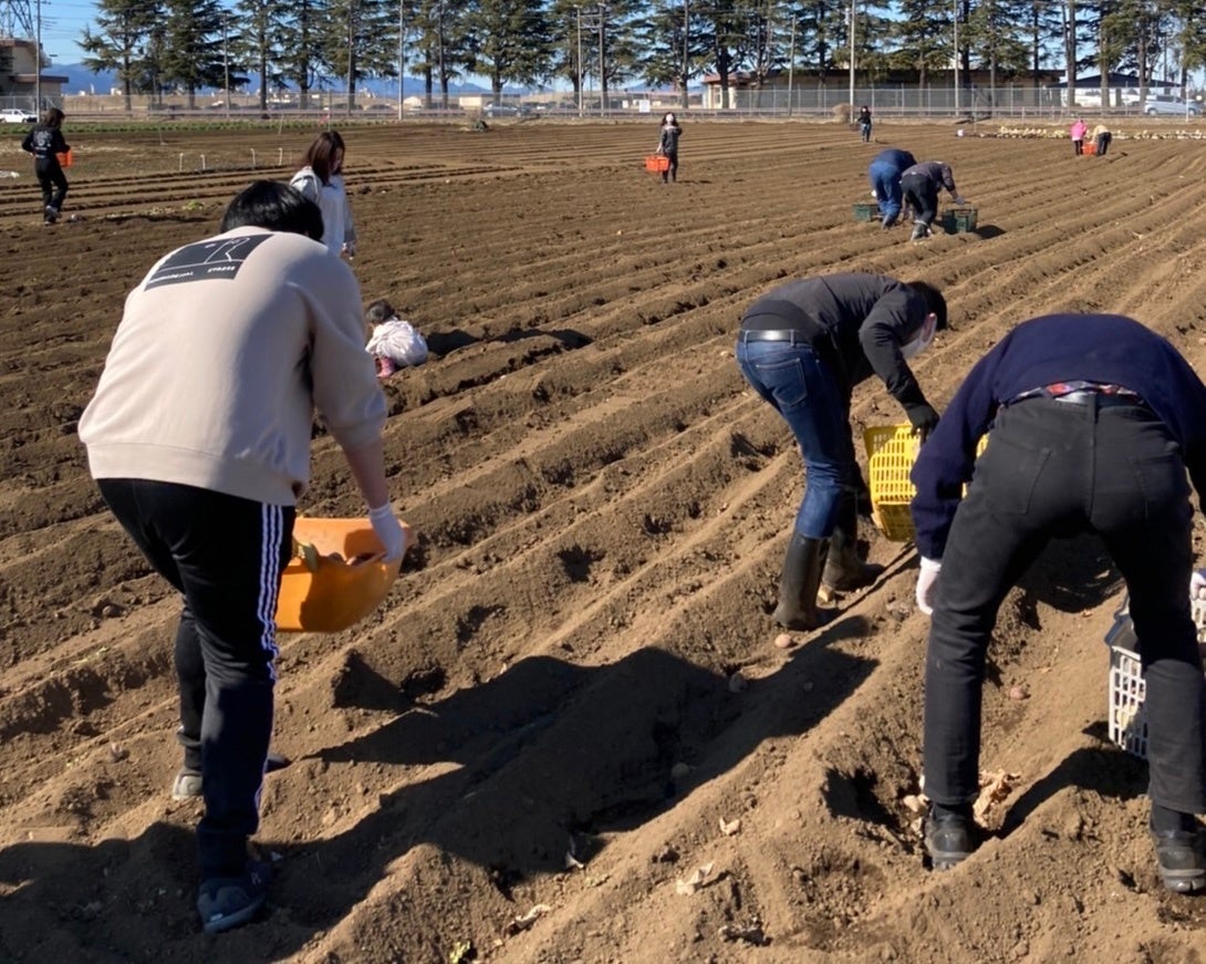 2022年2月 小山農園にて作業の様子