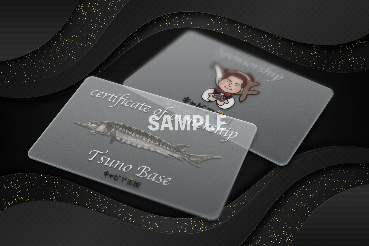 アラメシアの儀 勇者トークン サテライトショップ 広島限定