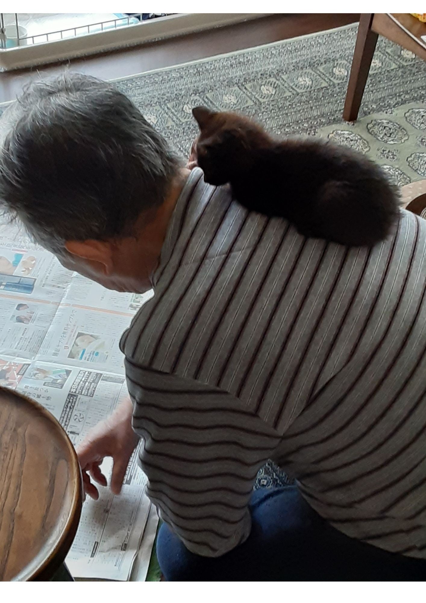 「カラスにつつかれてる所を親父が拾ってきたんだけど、めっちゃ好かれてて笑った」というコメントとともに投稿された写真はまたたく間に拡散され、多くの人がその存在を知ることに