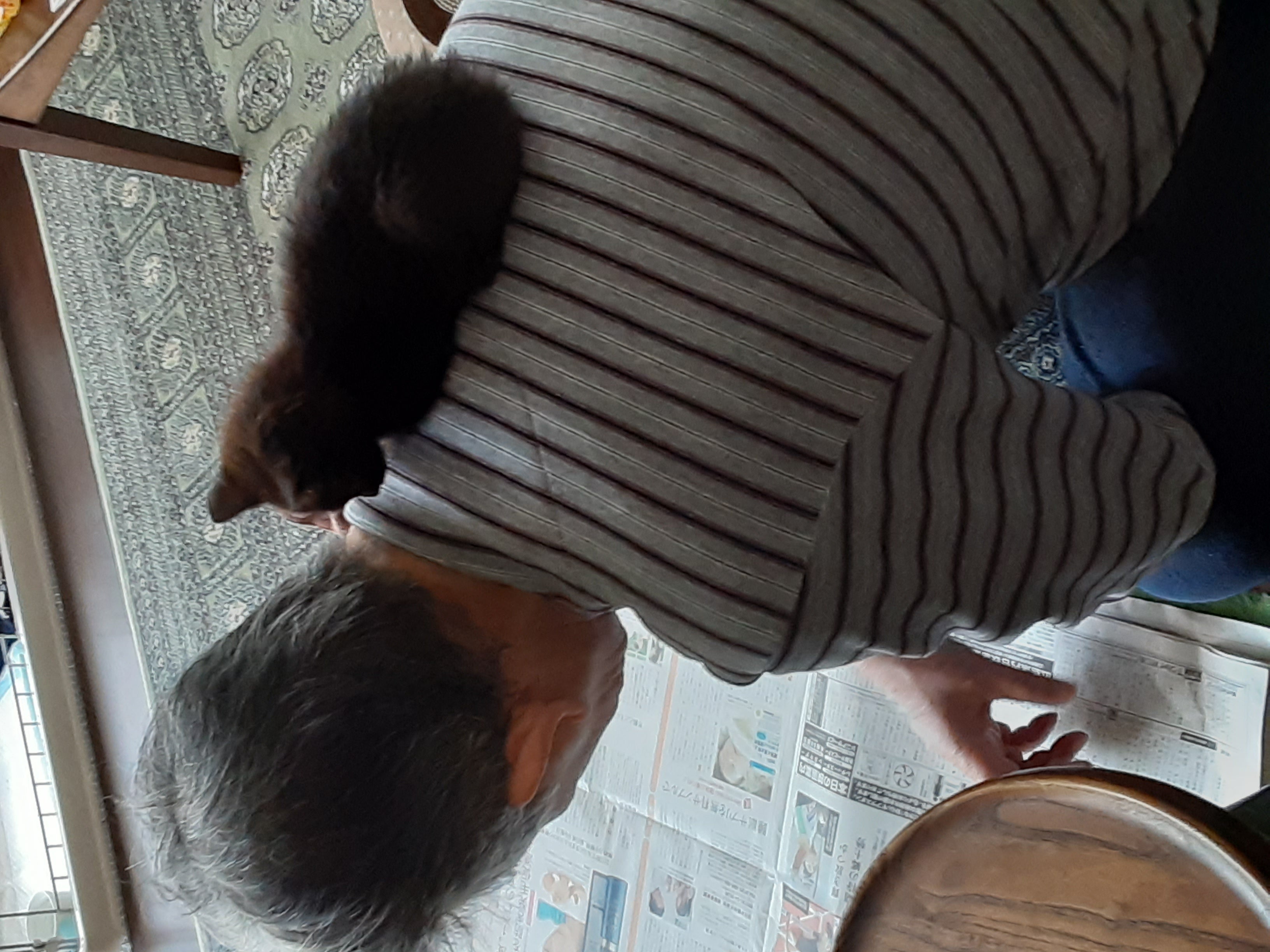 「カラスにつつかれてる所を親父が拾ってきたんだけど、めっちゃ好かれてて笑った」というコメントとともに投稿された写真はまたたく間に拡散され、多くの人がその存在を知ることに