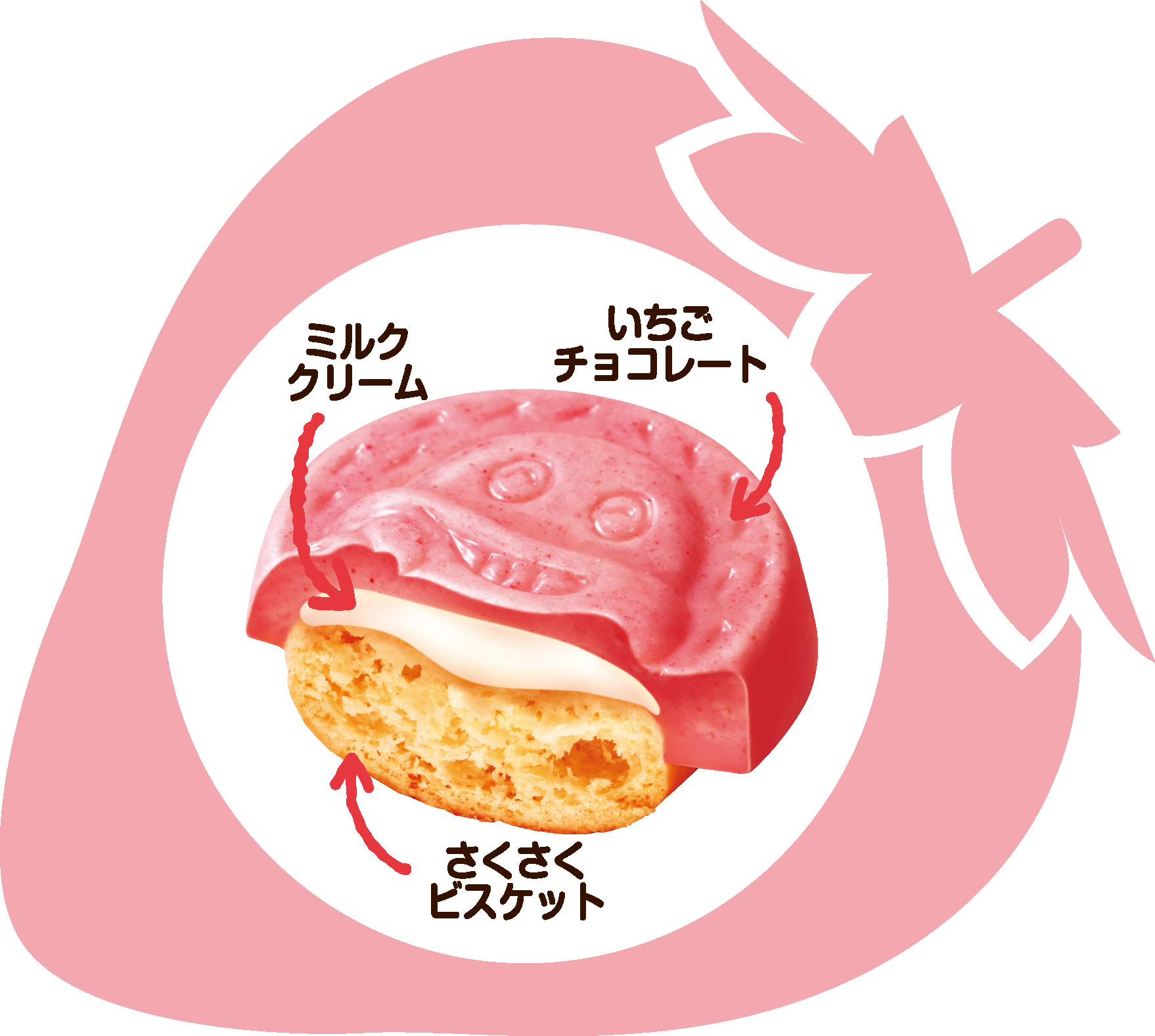 待望の新味！笑顔になれるチョコビスケット『サク山チョコ次郎』から