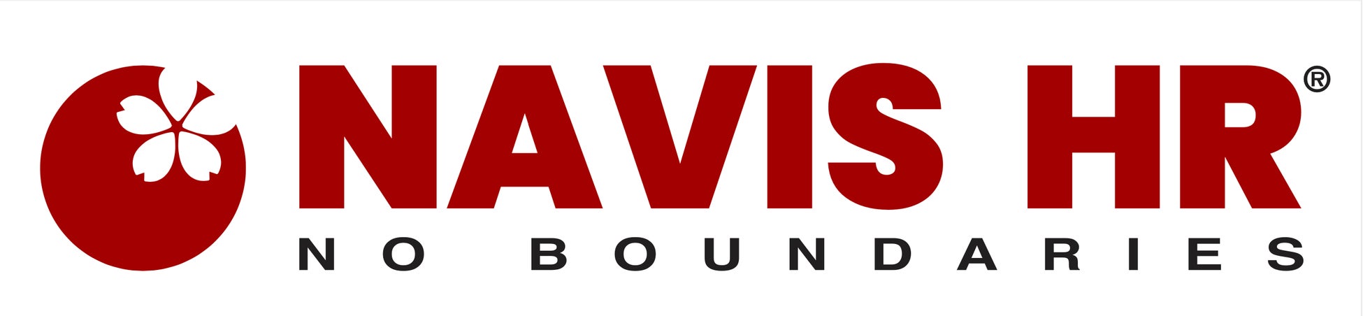株式会社NAVIS