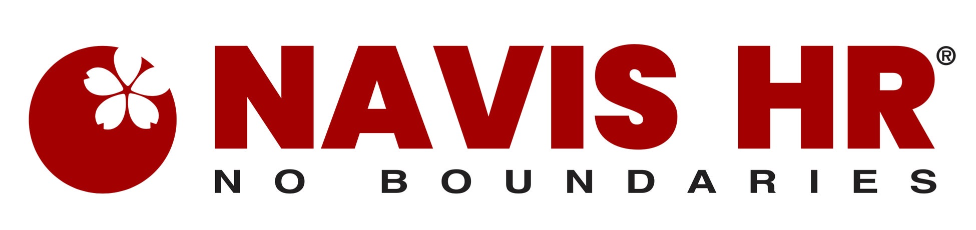 株式会社NAVIS