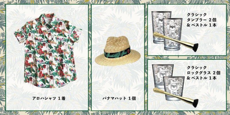 BAR TIMESで、世界 No.1*ラム バカルディが展開する〈料飲店様限定