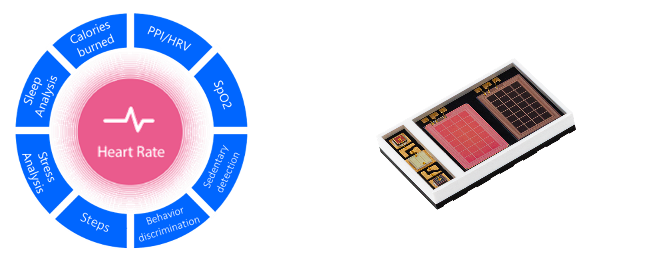 手首以外での計測にも対応可能な『Epson Wellness SDK』をリリース