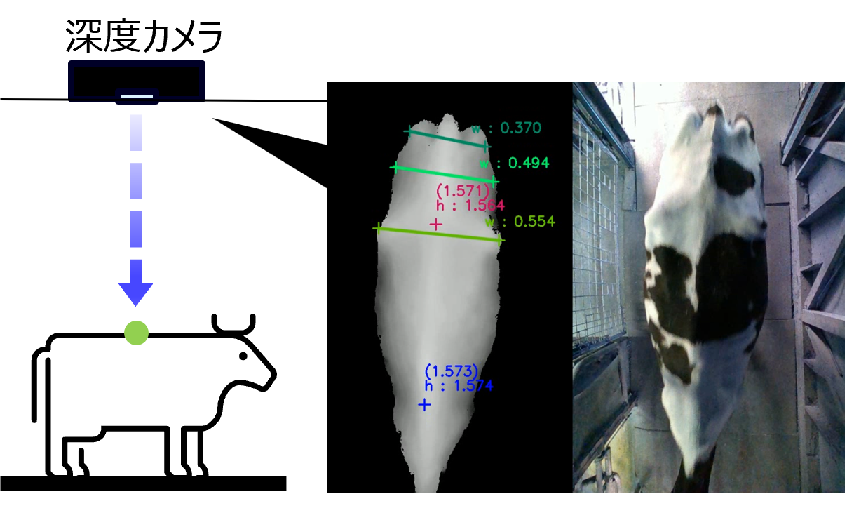 深度カメラによる撮影