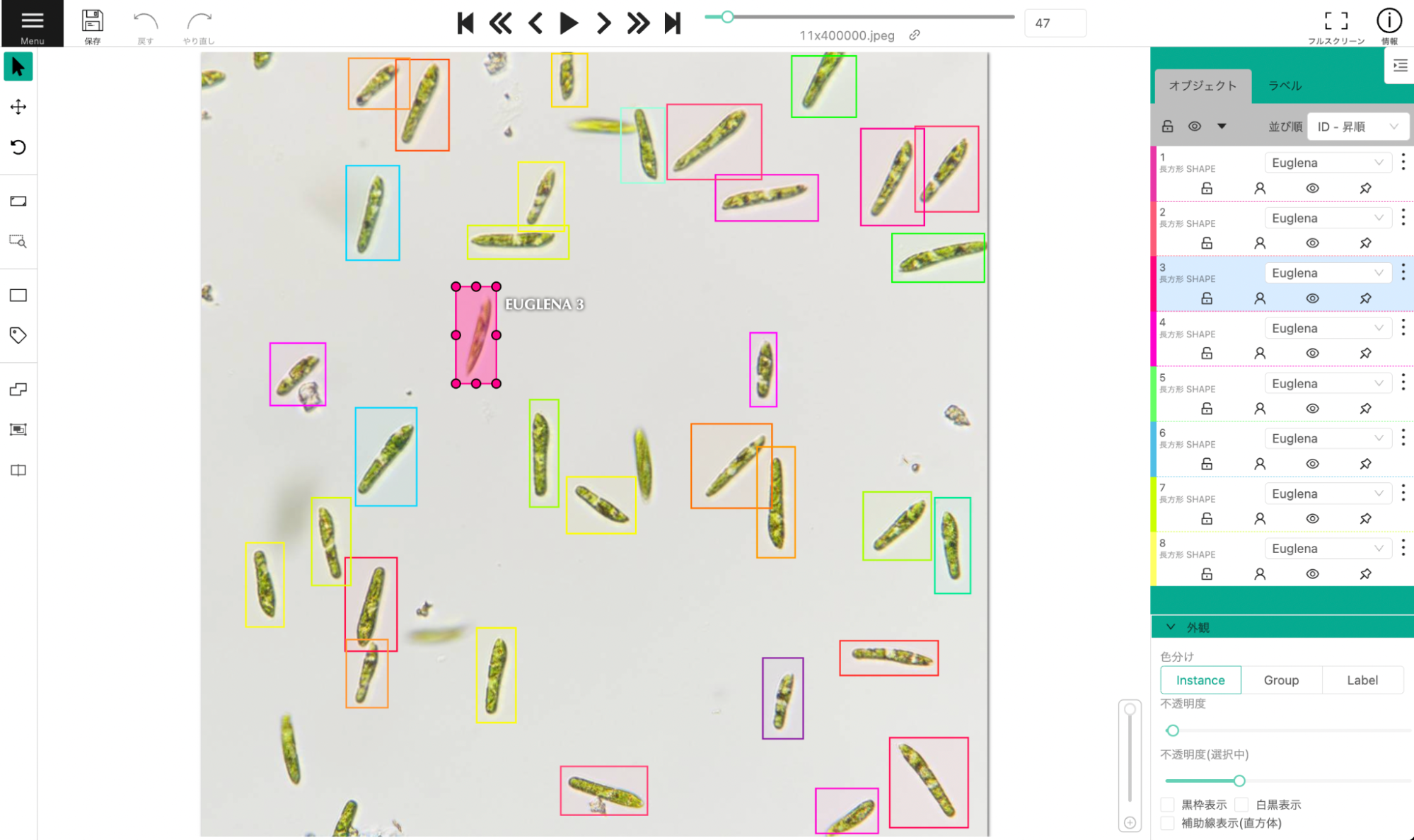 図2. Humanome Eyes上でミドリムシに対しアノテーションを実施する様子