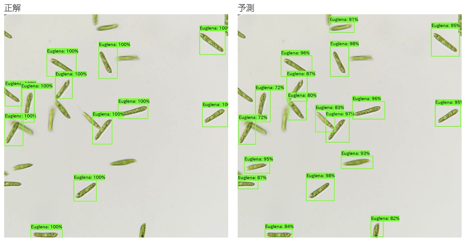 ヒューマノーム研究所 みんなのミドリムシプロジェクトの画像データからミドリムシ自動検出aiの作成に成功 物体検知ai構築ツール Humanome Eyes による技術協力を実施 株式会社ヒューマノーム研究所のプレスリリース ヒューマノーム研究所 みんなのミドリムシプロジェクトの画像データからミドリムシ自動検出aiの作成に成功 物体検知ai構築ツール Humanome Eyes による技術協力を実施 株式会社ヒューマノーム研究所のプレスリリース