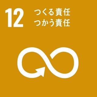 SDG12　つくる責任つかう責任