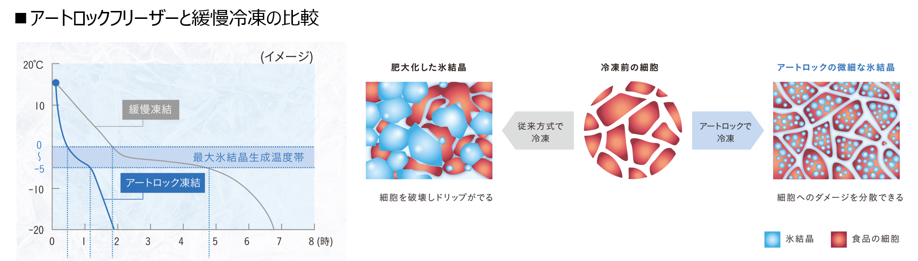 アートロックフリーザーと緩慢冷凍の比較