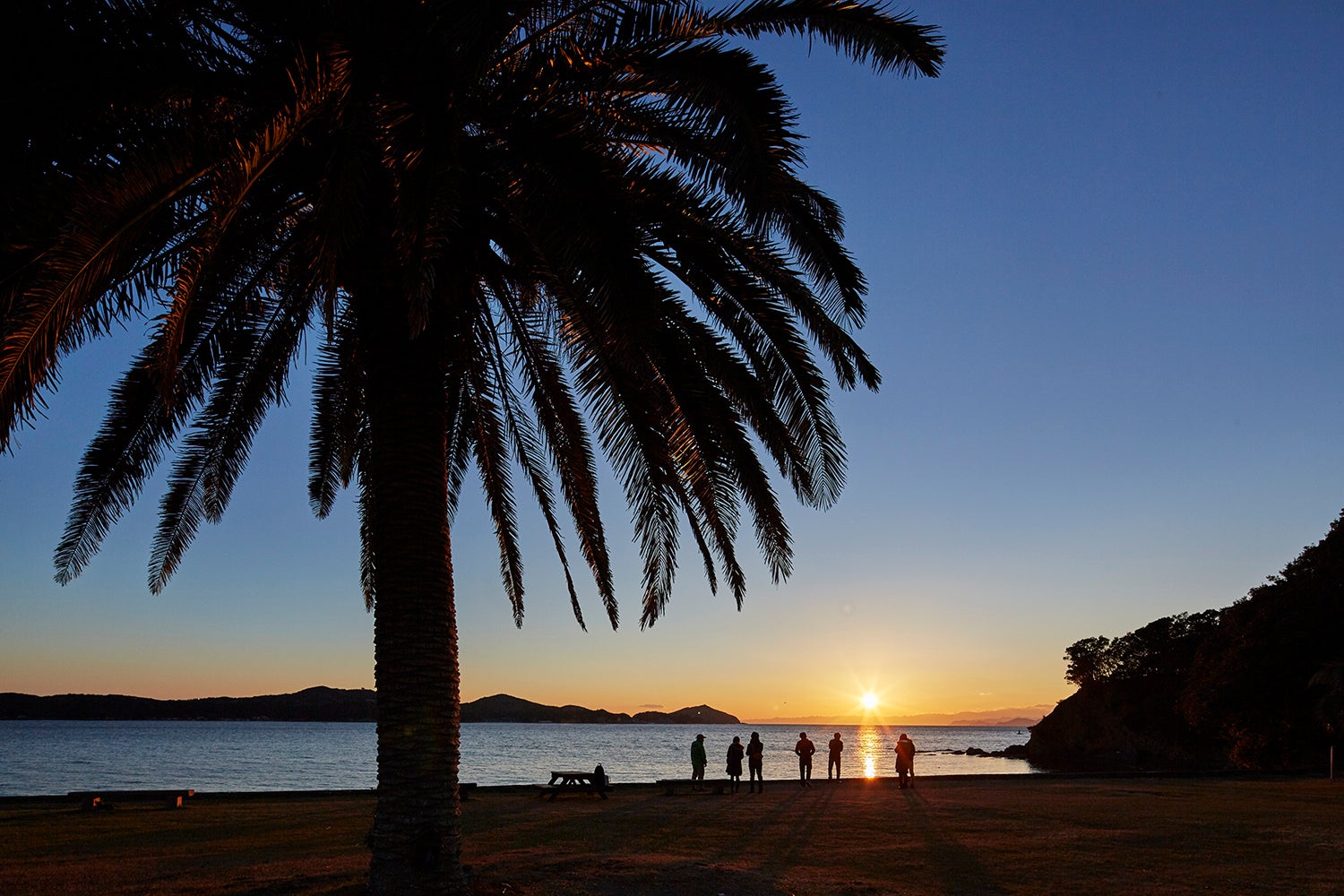 【NEMU RESORT】大自然の中の幻想的な世界へ　～NEMU RESORTで絶景の宵空感動体験を！～