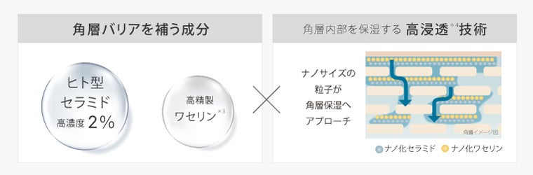 ヒト型セラミドを(出典: PR TIMES)