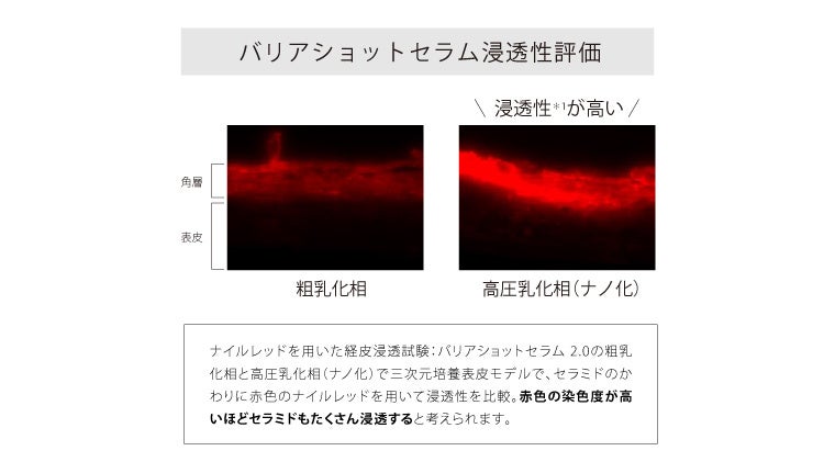 ヒト型セラミドを(出典: PR TIMES)